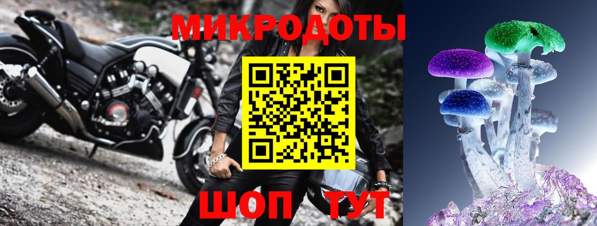 Сосновый Бор  где купить наркотик  Вход с VPN  Псилоцибиновые грибы Psilocybe 