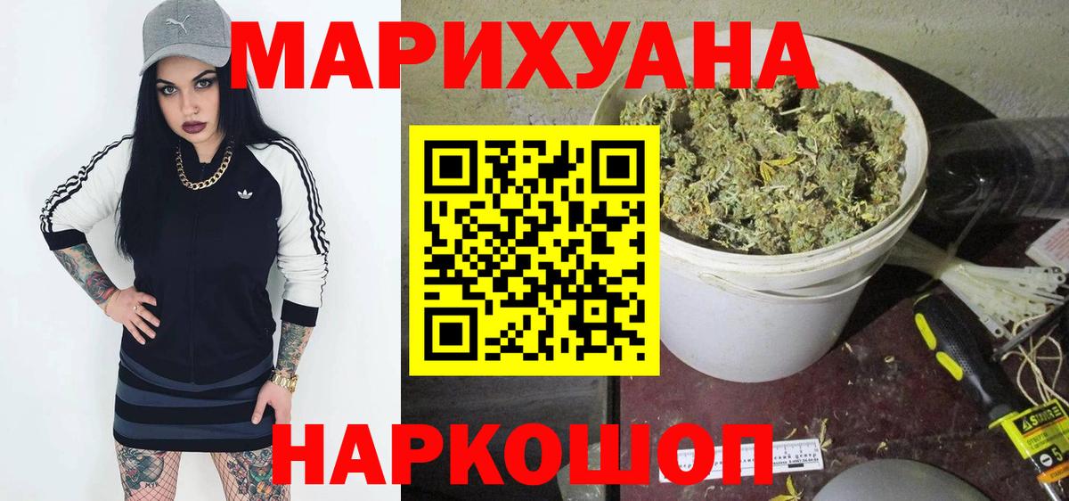 Каннабис конопля Сосновый Бор